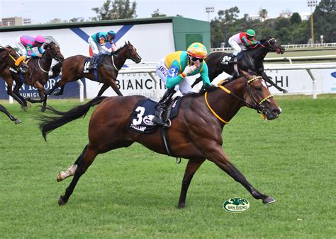 Caballo Hollín ganando el Gran Premio Alzaga Unzué