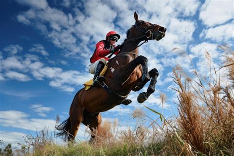 Jockey montando un caballo en una carrera