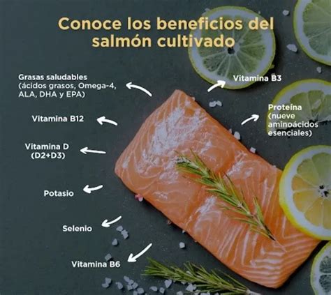 Beneficios del salmón para la salud de las mascotas