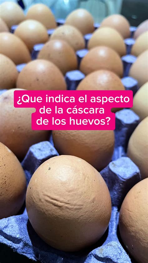 Huevos con cáscaras defectuosas por enfermedades