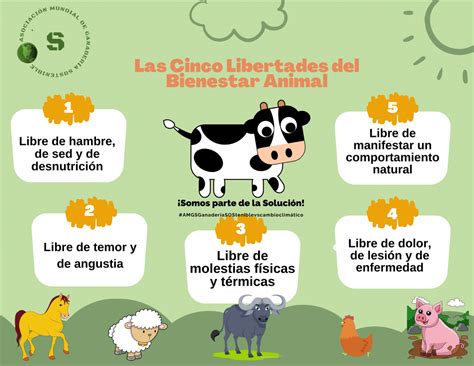 Esquema de las normativas vigentes sobre bienestar animal y uso de fuego