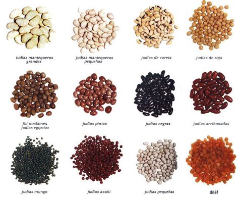 Diferentes tipos de alubias y frijoles
