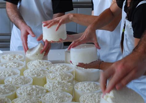 Fabricación artesanal de queso de mano