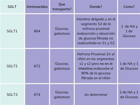 Tabla comparativa de transportadores de alimentos