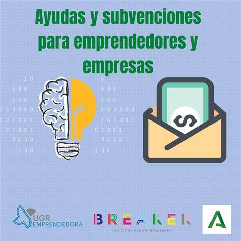 Infografía: Tipos de ayudas y subvenciones para emprendedores