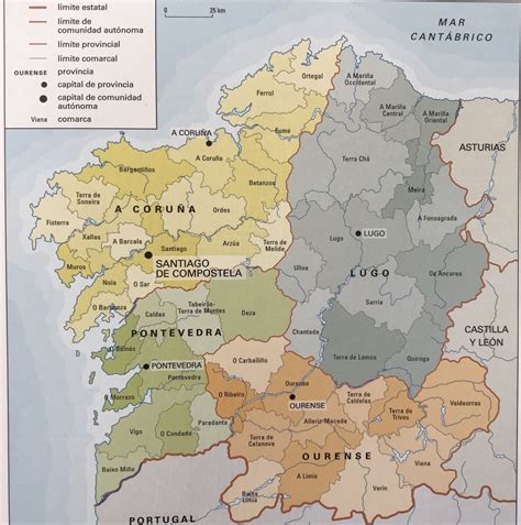 Mapa de la distribución de vacas en Galicia por municipios
