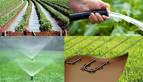 Esquema de aplicación de fertilizantes según el sistema de riego
