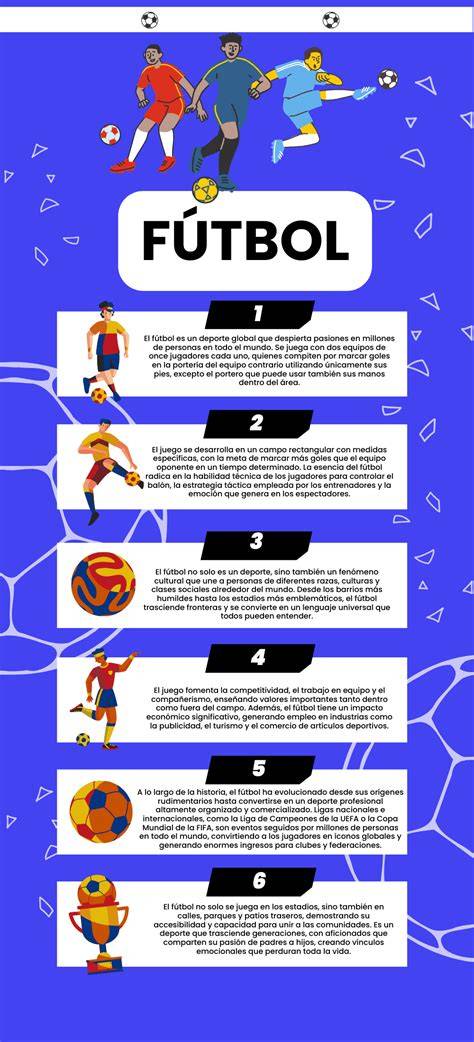 Infografía sobre la estructura de las federaciones deportivas