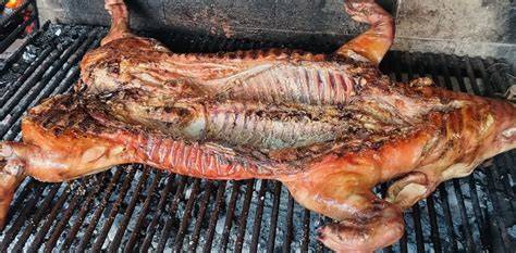 Lechón asándose a la parrilla con brasas alrededor