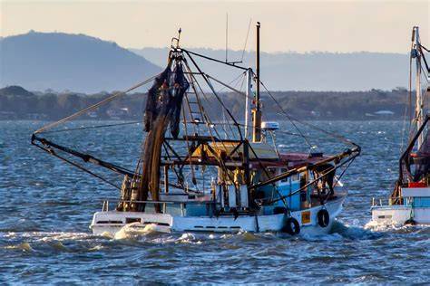 Embarcación de pesca de arrastre