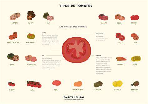 Infografía: Tipos de tomate y sus usos
