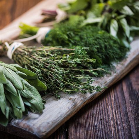 Hierbas aromáticas frescas para bouquet garni