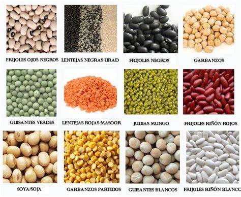 Variedad de legumbres y verduras para olleta