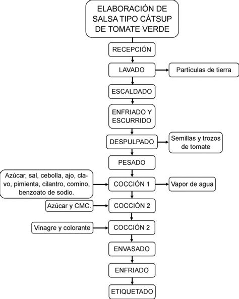 Proceso de elaboración de salsa de tomate casera