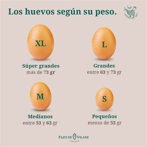 Edad de la gallina y tamaño del huevo