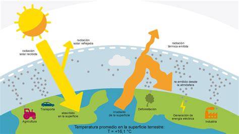 Efecto de la temperatura en el consumo y necesidades calóricas de las aves