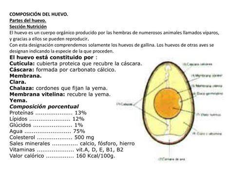 Composición del huevo: clara, yema y cáscara