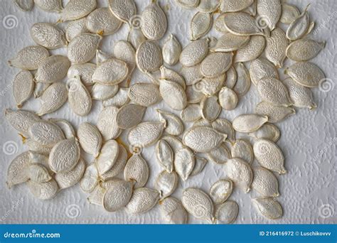 Semillas de calabaza blanca