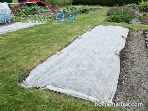 Manta térmica para plantas