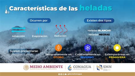 Gráfico: Tipos de heladas y sus características