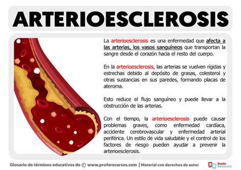 Imagen de una arteria con arteriosclerosis en el corazón de ternera