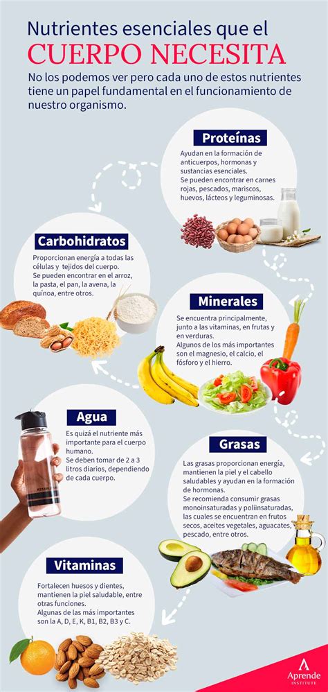 Infografía sobre los nutrientes presentes en la pasta