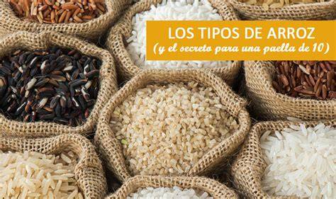 Tipos de arroz y sus características nutricionales