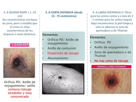 Agalla con orificios de salida de parásitos