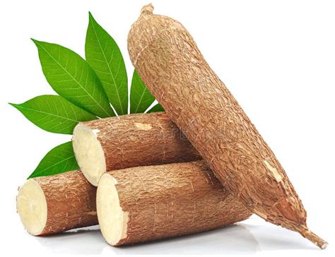 Raíz de yuca fresca cortada