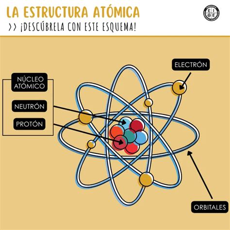 Esquema de la estructura COFOG