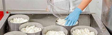 Proceso de corte de la cuajada para queso fresco