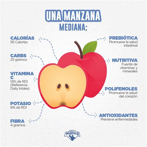 Infografía sobre los beneficios de las manzanas