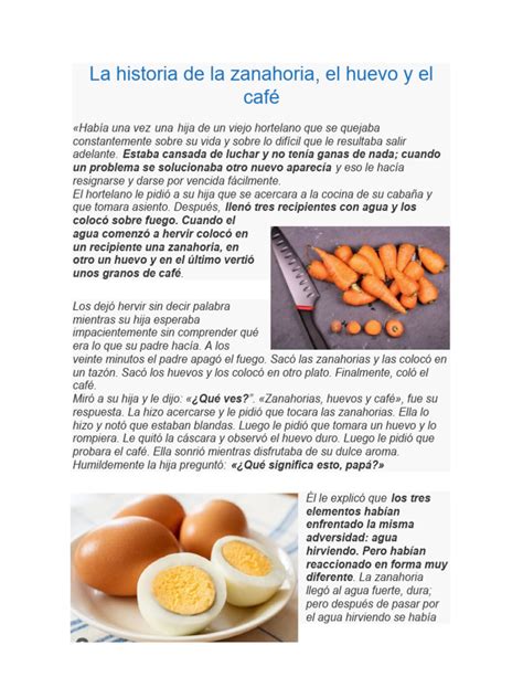 Infografía: Comparación de reacciones a la adversidad (zanahoria, huevo, café)