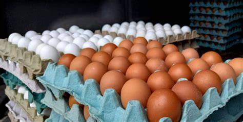 Diversos objetos pequeños organizados en un cartón de huevos