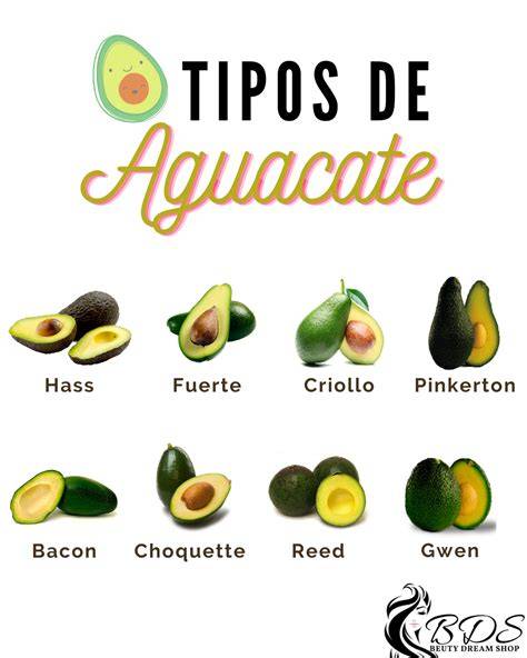 Tipos de aguacate