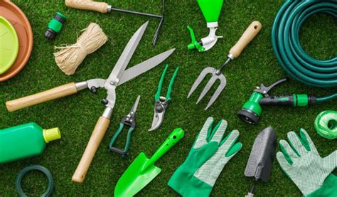 Herramientas de jardinería esenciales