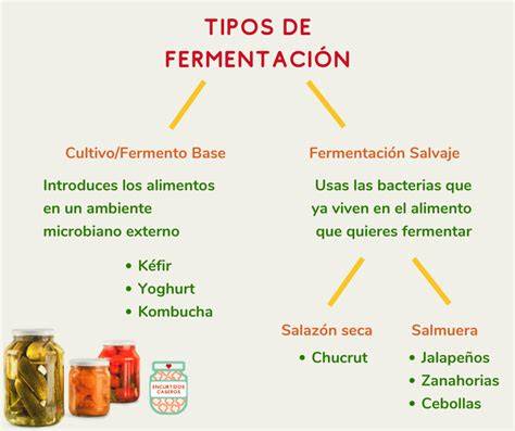Mesa con diferentes tipos de fermentos caseros y utensilios