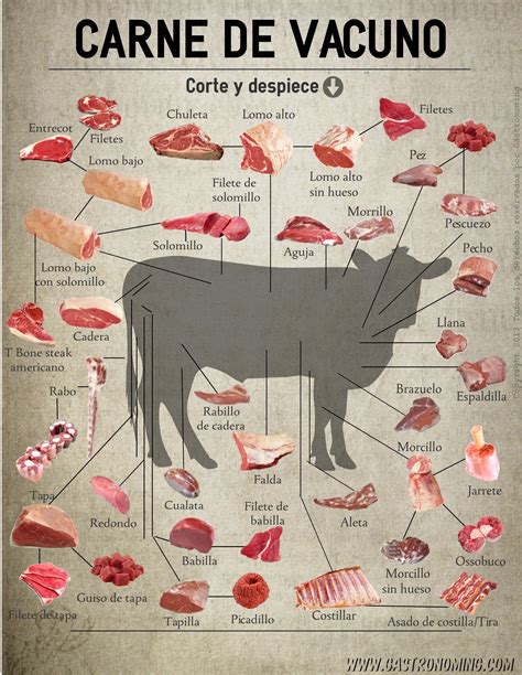 Infografía sobre los diferentes cortes de carne de vacuno y sus usos culinarios