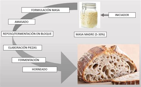 Proceso de elaboración de masa madre