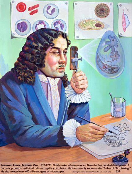 Anton van Leeuwenhoek observando microorganismos con un microscopio