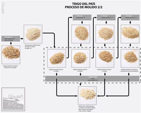 Proceso de fabricación de harina de trigo sarraceno