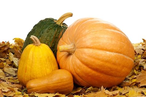 Calabazas de Halloween de diferentes formas y tamaños