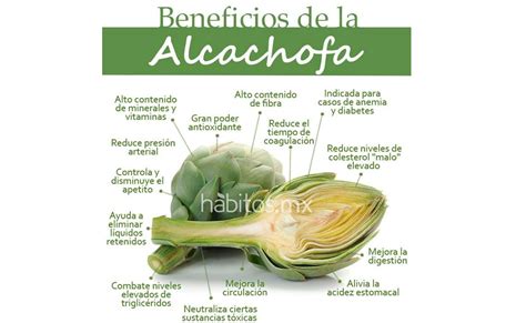 Ilustración de los beneficios nutricionales de la alcachofa