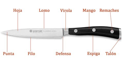 Partes de la hoja de un cuchillo