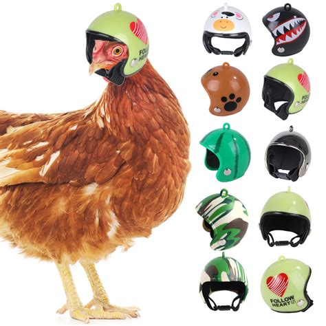 Casco con visera para gallinas en AliExpress