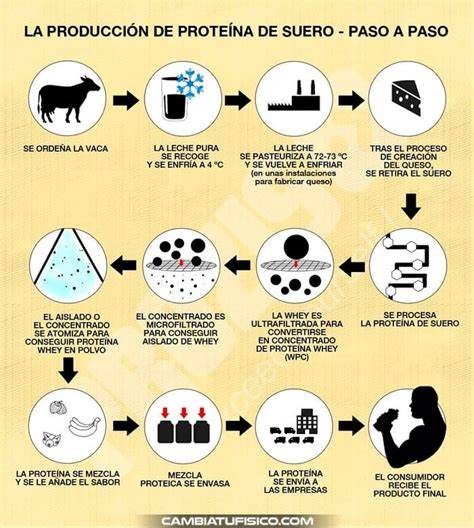 Proceso de obtención de proteína de suero de leche