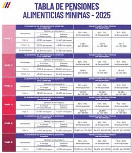 Gráfico de custodia de hijos y pensiones alimenticias