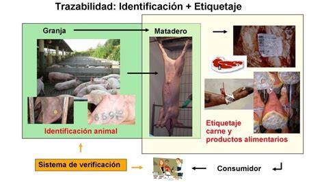Esquema de trazabilidad del jamón ibérico