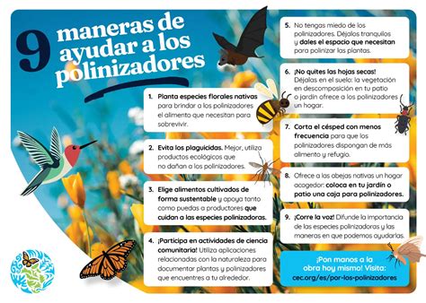 Cartel informativo sobre la escuela de polinizadores