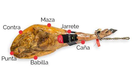 Partes del jamón ibérico